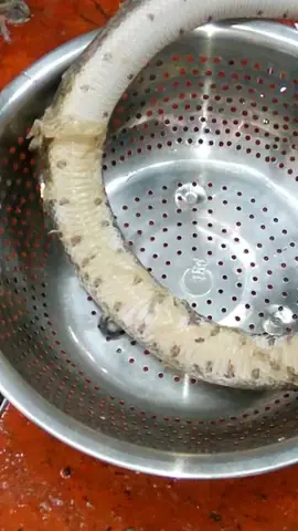 Cách Nấu Cháo Rắn Đậu Xanh Thơm Ngon, Bổ Dưỡng, Chuẩn Vị Miền Tây