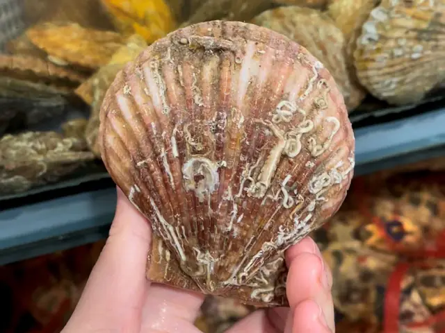 Cách chọn mua nguyên liệu tươi ngon Cách chọn mua nguyên liệu tươi ngon