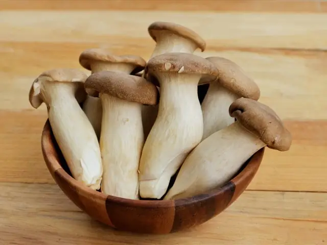 Các bước nấu cháo sò điệp dinh dưỡng Các bước nấu cháo sò điệp dinh dưỡng