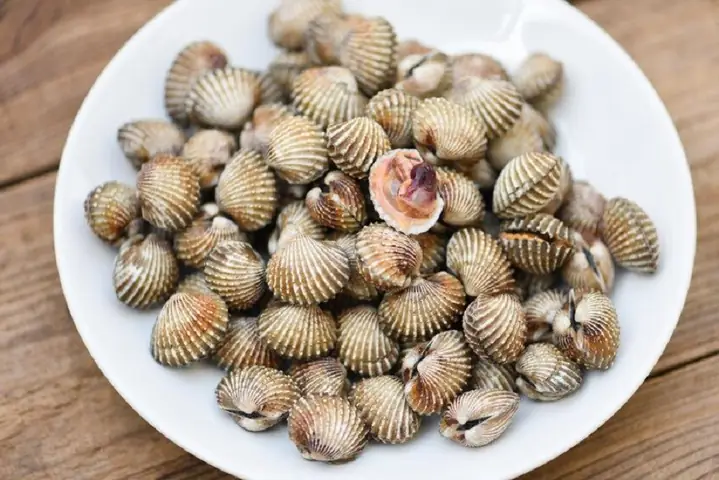 Cách Nấu Cháo Sò Huyết Cho Bé Ăn Dặm Thơm Ngon, Đủ Chất