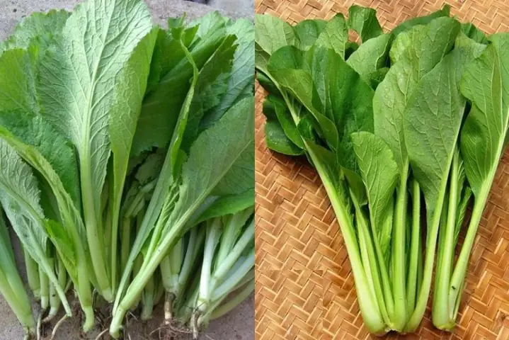 Cách Nấu Cháo Sò Lông Ngon: Hướng Dẫn Chi Tiết Từ A Đến Z