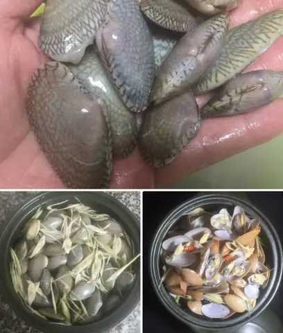 Hướng Dẫn Chi Tiết Cách Nấu Cháo Sò Lụa Chuẩn Vị, Bổ Dưỡng Tại Nhà