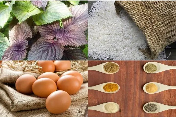 Cách Nấu Cháo Thịt Băm Tía Tô Thơm Ngon, Đậm Đà Giải Cảm Hiệu Quả