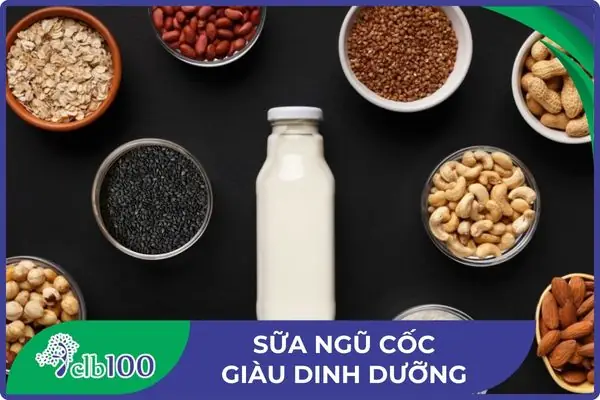 Cách Nấu Cháo Thực Dưỡng: Hướng Dẫn Chi Tiết Từ A Đến Z