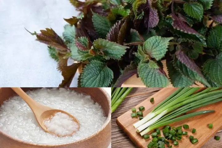 Hướng Dẫn Chi Tiết Cách Nấu Cháo Tía Tô Cho Bé Khỏe Mạnh