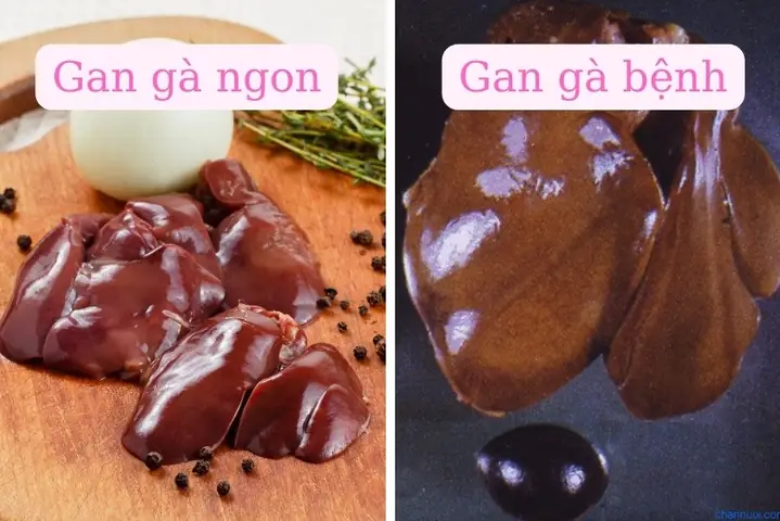 Hướng Dẫn Nấu Cháo Tim Gan Gà Cho Bé Ăn Dặm Đơn Giản, Bổ Dưỡng