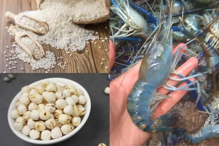 Cách Nấu Cháo Tôm Càng Xanh Cho Bé Thơm Ngon, Đủ Dinh Dưỡng