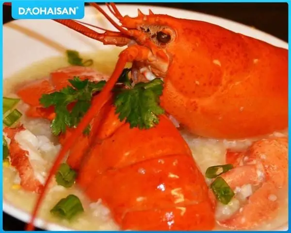 Cách Nấu Cháo Tôm Hùm Cho Bé Ăn Dặm Chuẩn Dinh Dưỡng