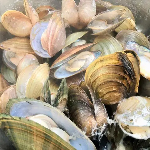 Cách Nấu Cháo Trai Cho Bà Bầu Chuẩn Vị, Đầy Đủ Dinh Dưỡng