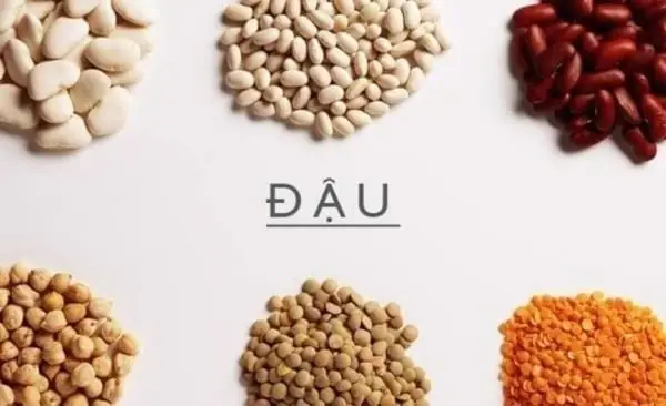 Cách Nấu Cháo Với Các Loại Đậu Cho Bé Đơn Giản, Bổ Dưỡng