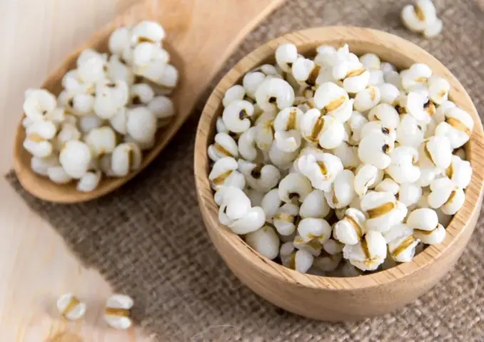 Hướng Dẫn Cách Nấu Cháo Ý Dĩ Hạt Sen Thơm Ngon Bổ Dưỡng