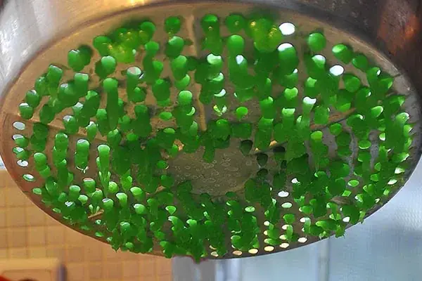 Hướng Dẫn Chi Tiết Cách Nấu Chè Bánh Lọt Nước Cốt Dừa