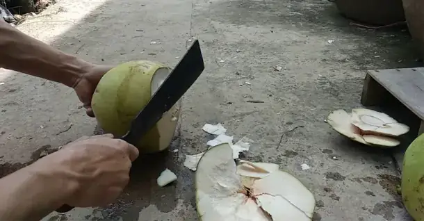 Cách làm giá đỗ sạch tại nhà cực đơn giản mà bạn không nên bỏ qua Cách làm giá đỗ sạch tại nhà cực đơn giản mà bạn không nên bỏ qua