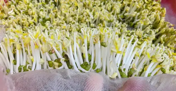 Biên bản giao nhận hàng hóa mới nhất, mẫu chuẩn, dễ dùng Biên bản giao nhận hàng hóa mới nhất, mẫu chuẩn, dễ dùng