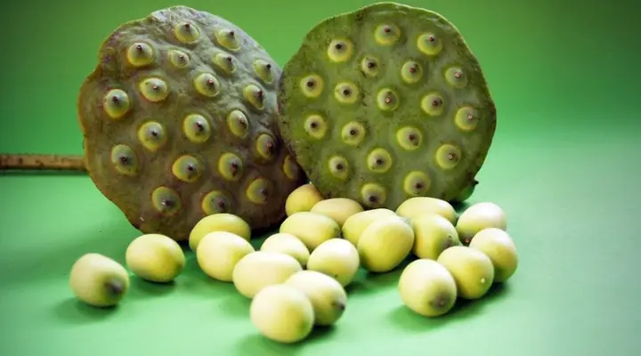 Hướng Dẫn Từng Bước Cách Nấu Chè Bí Đỏ Hạt Sen Thơm Ngon