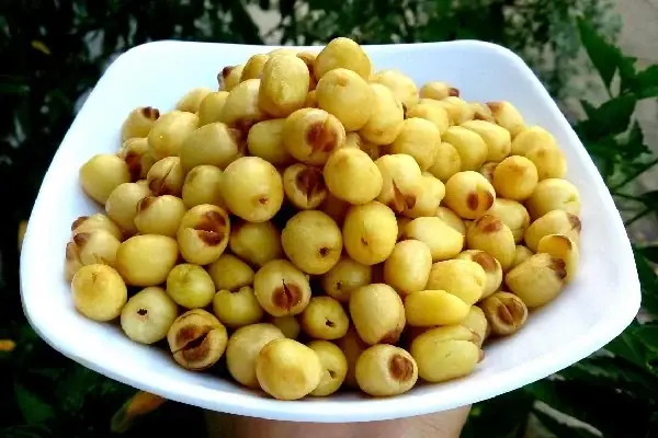 Cách Nấu Chè Bưởi Hạt Sen Thơm Ngon, Giòn Dai Chuẩn Vị Tại Nhà Cách Nấu Chè Bưởi Hạt Sen Thơm Ngon, Giòn Dai Chuẩn Vị Tại Nhà