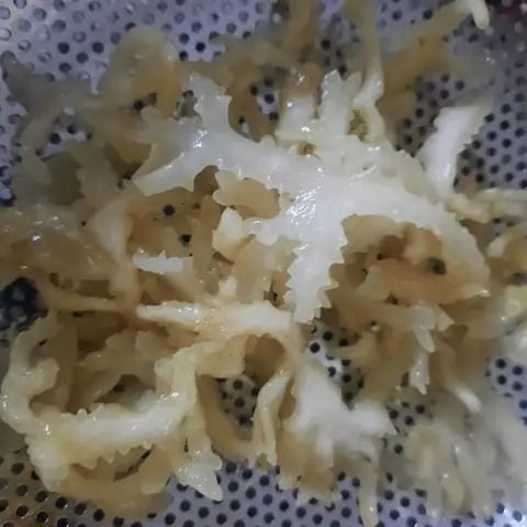 Cách Nấu Chè Chân Vịt Ngọt Mát, Bổ Dưỡng Chuẩn Vị Tại Nhà