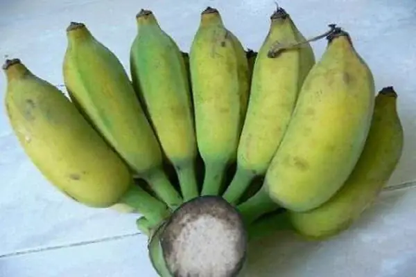 Hướng Dẫn Cách Nấu Chè Chuối Bí Đỏ Thơm Ngon, Đậm Vị Hướng Dẫn Cách Nấu Chè Chuối Bí Đỏ Thơm Ngon, Đậm Vị