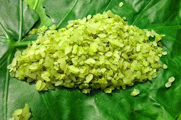 Cách Nấu Chè Cốm Đậu Xanh Hạt Sen Thơm Ngon, Thanh Mát Chuẩn Vị