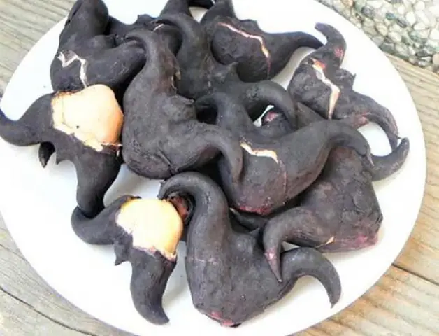 Hướng Dẫn Cách Nấu Chè Củ Ấu Thơm Ngon, Bổ Dưỡng Tại Nhà Hướng Dẫn Cách Nấu Chè Củ Ấu Thơm Ngon, Bổ Dưỡng Tại Nhà