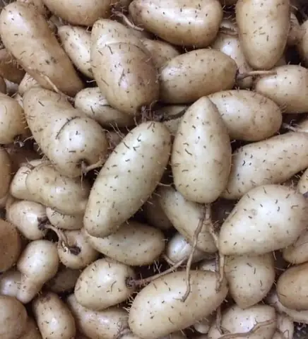 Cách Nấu Chè Củ Lùn Thơm Ngon, Thanh Mát Cho Cả Gia Đình