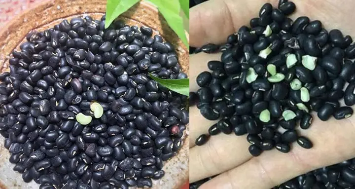 Hướng Dẫn Chi Tiết Cách Nấu Chè Đậu Đen Và Đậu Xanh Thơm Ngon Hướng Dẫn Chi Tiết Cách Nấu Chè Đậu Đen Và Đậu Xanh Thơm Ngon