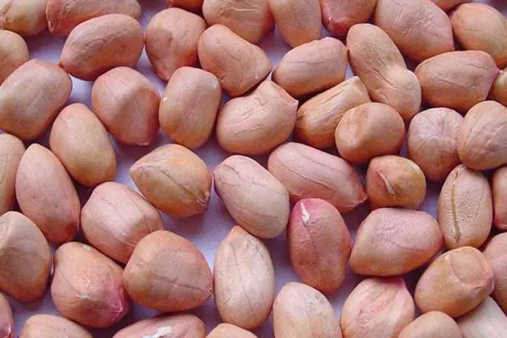 Lợi ích của đậu phộng