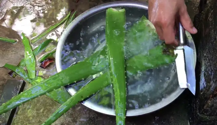 Hướng Dẫn Nấu Chè Đậu Xanh Nha Đam Bột Báng Thơm Ngon