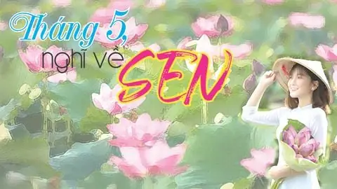 Cách Nấu Chè Đậu Xanh Táo Đỏ Thơm Ngon, Thanh Mát Cho Cả Nhà