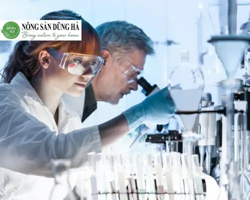 cách nấu chè đỗ đen truyền thống cách nấu chè đỗ đen truyền thống