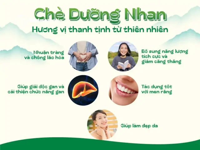 cách nấu chè dưỡng nhan 12 vị cách nấu chè dưỡng nhan 12 vị