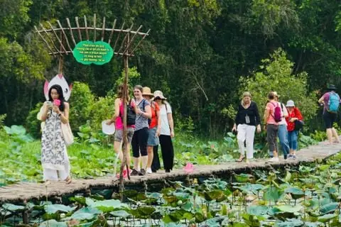 Cách Nấu Chè Hạt Sen Đậu Xanh Táo Đỏ Thanh Mát, Bổ Dưỡng