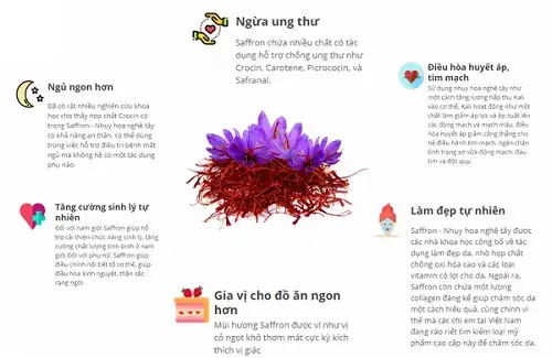 Cách Nấu Chè Hạt Ươi Thanh Mát, Giải Nhiệt Tại Nhà