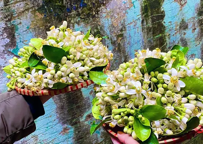 Cách Nấu Chè Hoa Bưởi Thanh Mát, Thơm Ngon Chuẩn Vị Tại Nhà