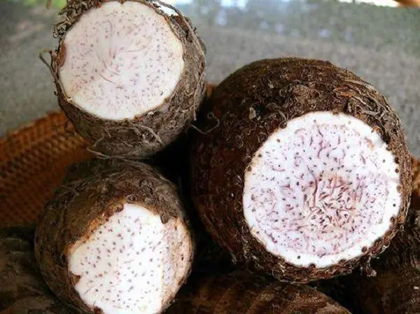 Cách Nấu Chè Khoai Môn Dẻo: Hướng Dẫn Từng Bước Chuẩn Vị Cách Nấu Chè Khoai Môn Dẻo: Hướng Dẫn Từng Bước Chuẩn Vị