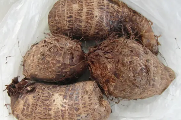 Chuẩn bị các nguyên liệu nấu chè khoai sọ gồm: Chuẩn bị các nguyên liệu nấu chè khoai sọ gồm: