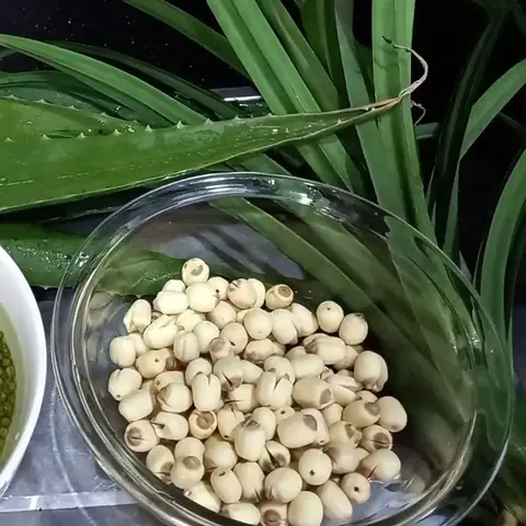 Sơ chế hạt sen và đậu xanh