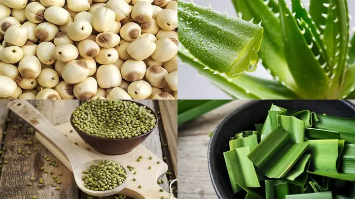 Cách chọn mua đậu xanh mẩy, ngon