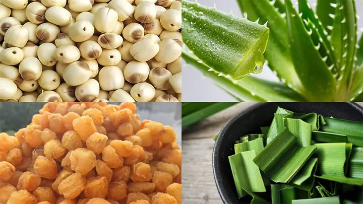 Mua nhãn nhục ở đâu?