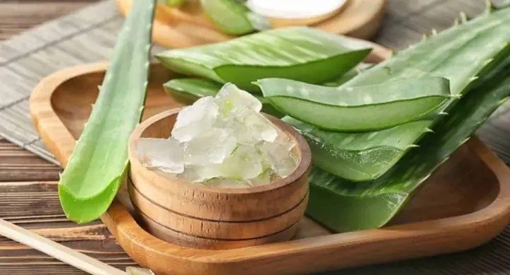 Cách Nấu Chè Nha Đam Với Bột Sắn Dây Thanh Mát, Bổ Dưỡng Tại Nhà Cách Nấu Chè Nha Đam Với Bột Sắn Dây Thanh Mát, Bổ Dưỡng Tại Nhà