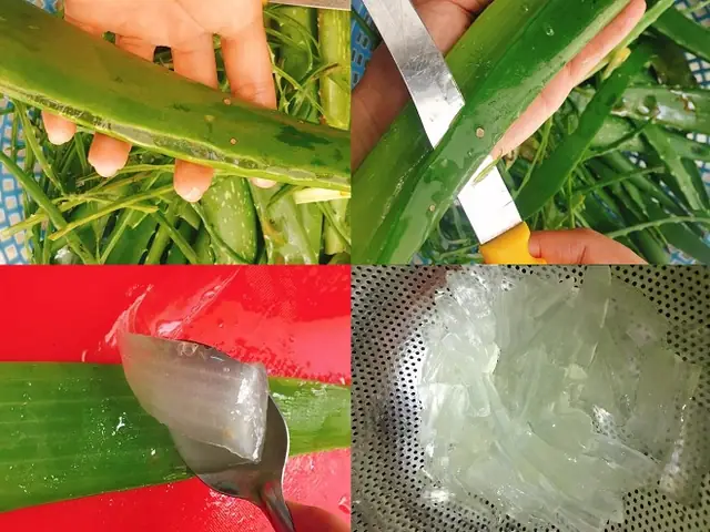 Cách nấu chè rong biển khô đậu xanh thanh mát, bổ dưỡng tại nhà