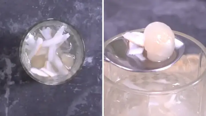 Cách Nấu Chè Sen Nhãn Dừa Thanh Mát Giải Nhiệt Mùa Hè