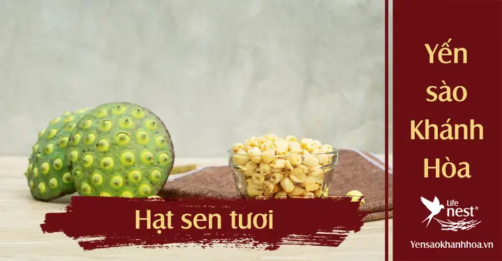Hướng Dẫn Chi Tiết Cách Nấu Chè Tổ Yến Hạt Sen Chuẩn Vị Tại Nhà