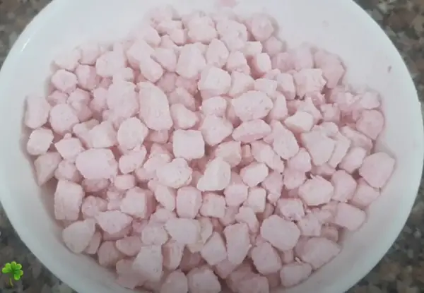 Sơ chế củ năng