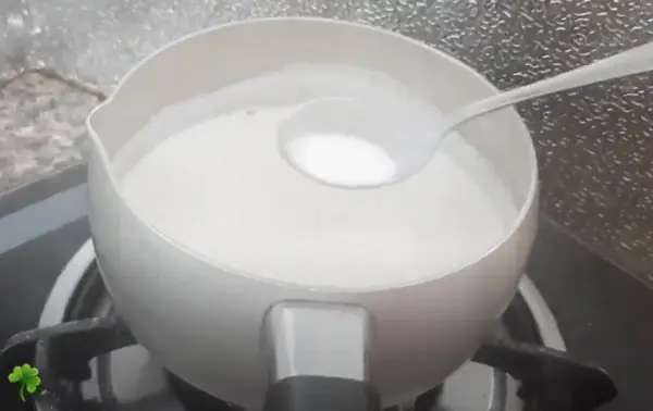 Nấu nước cốt dừa ăn chè hạt đác củ năng