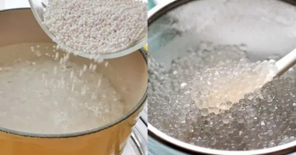 Cách Nấu Chè Xoài Bột Báng Thơm Ngon, Mát Lạnh Chuẩn Vị