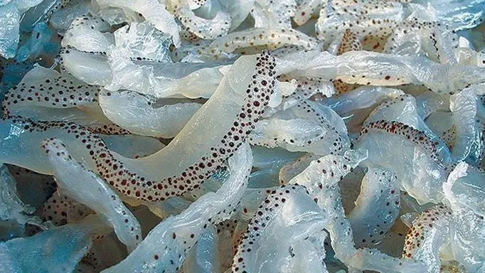 Cách Nấu Chẻo Ăn Sứa Đậm Đà, Chuẩn Vị Truyền Thống