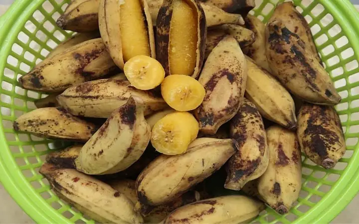 Cách Nấu Chuối Sáp Ngon Chuẩn Vị, Dẻo Thơm Khó Cưỡng