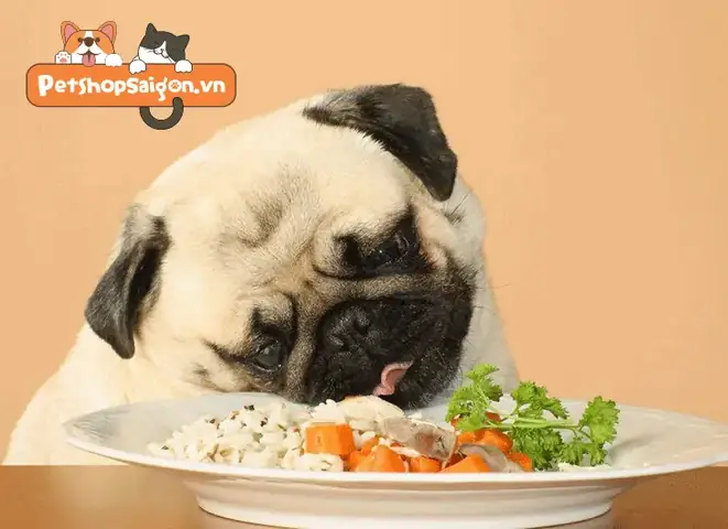 Cách Nấu Cổ Gà Cho Chó Đúng Cách, Bổ Dưỡng Và An Toàn Cách Nấu Cổ Gà Cho Chó Đúng Cách, Bổ Dưỡng Và An Toàn