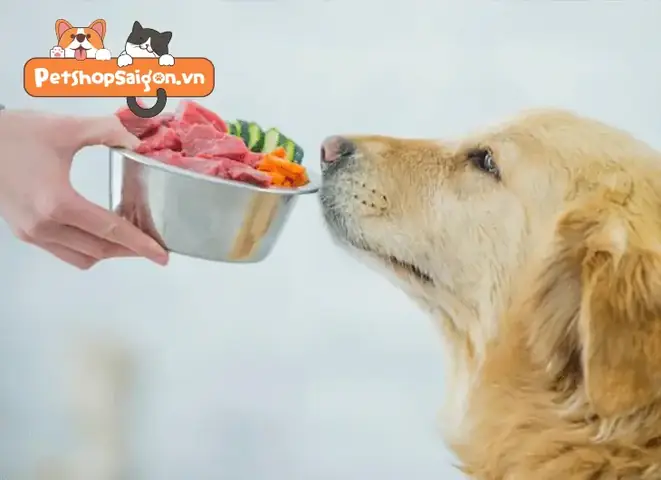 Cách Nấu Cổ Gà Cho Chó Đúng Cách, Bổ Dưỡng Và An Toàn Cách Nấu Cổ Gà Cho Chó Đúng Cách, Bổ Dưỡng Và An Toàn